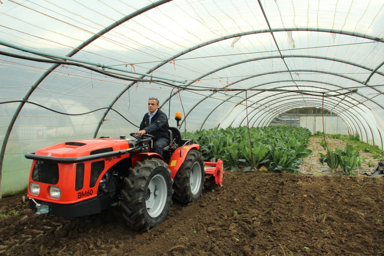 Historia de AGRIMAC